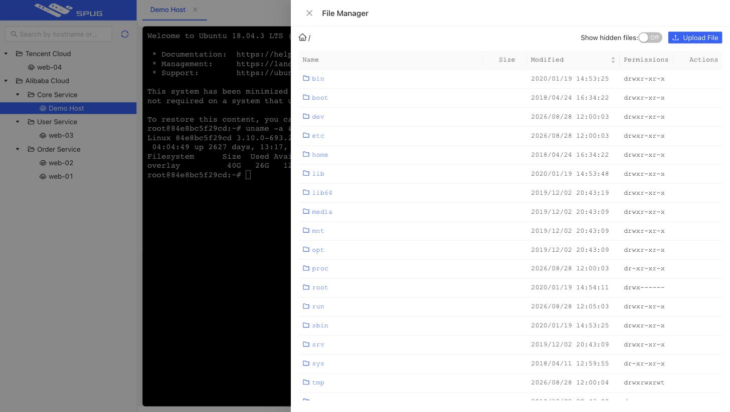File manager