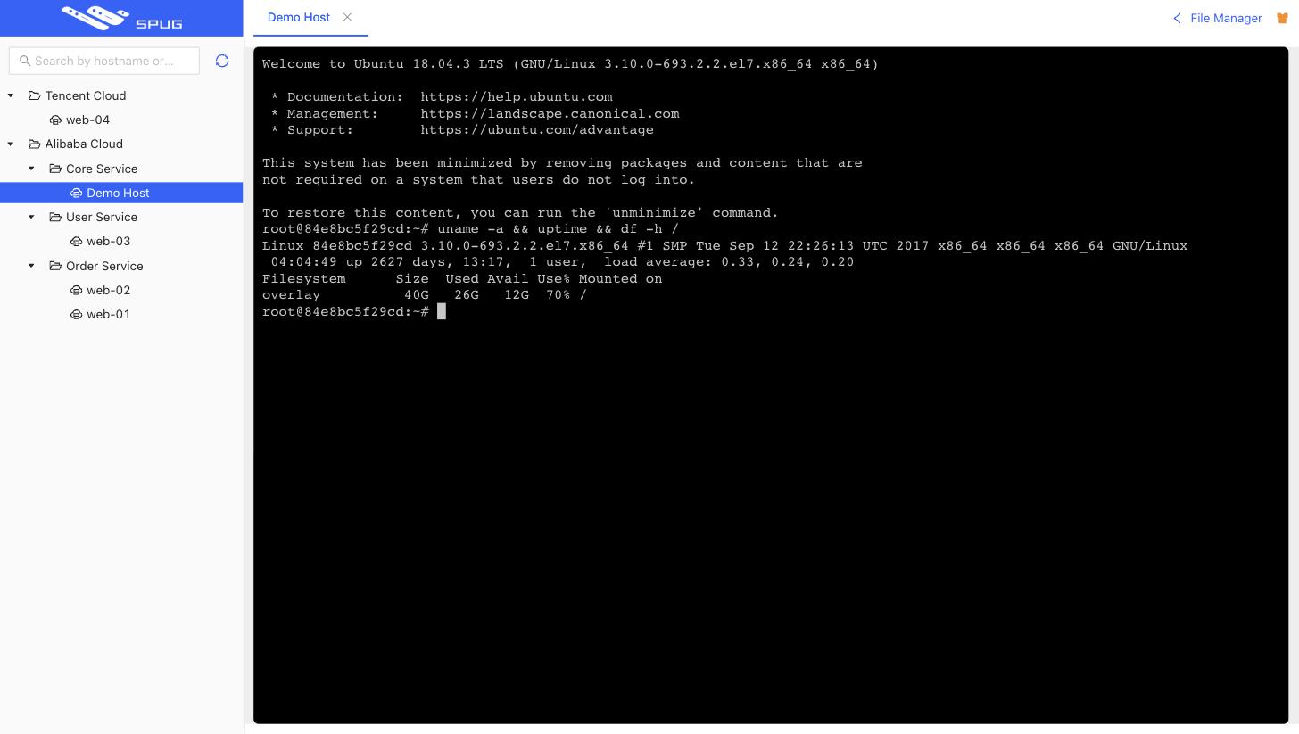 Web terminal